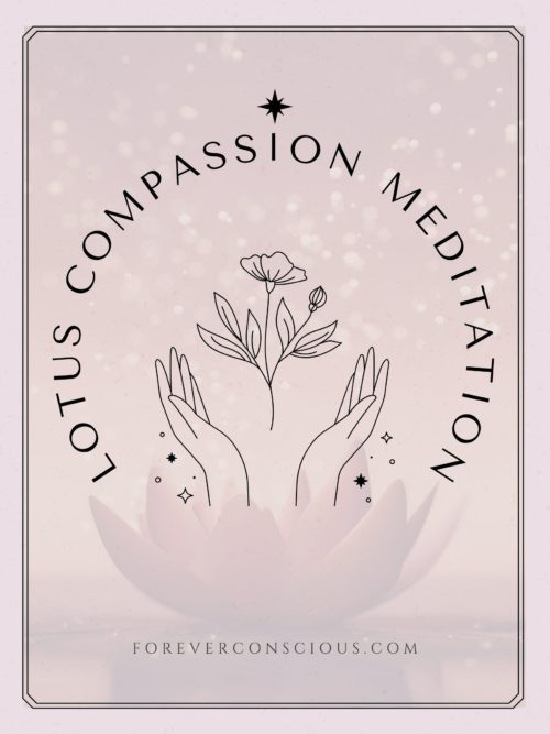 lotus compassion meditation