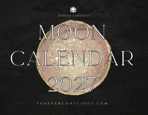 Moon Calendar 2027- Digital Version